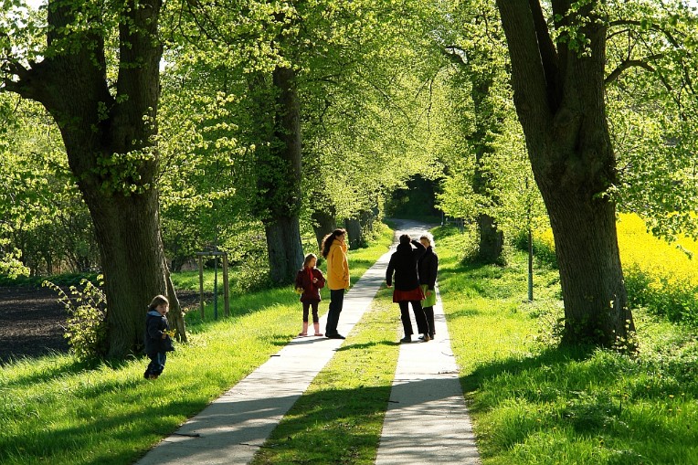 Auf der Suche nach dem Cache